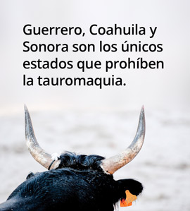 270_Tauromaquia_1710.jpg