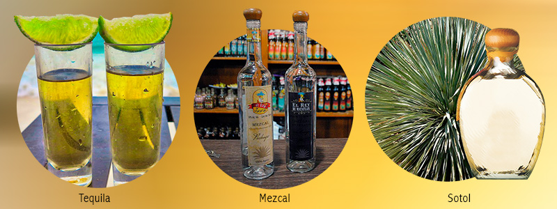 800x300-TequilaMezcalSotol.jpg