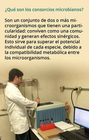 Consorcios_172.jpg