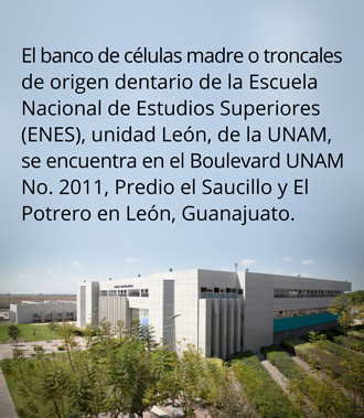 ENES-Unidad-León-UNAM330.jpg