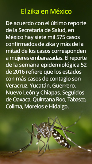 Zika Mex 172