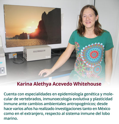 Dra. Karina Alethya Acevedo Whitehouse2216