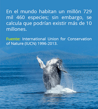especies IUCN