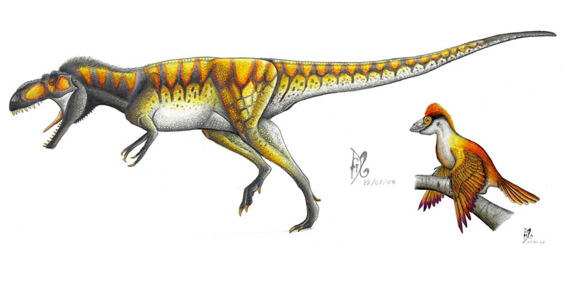 tiranosaurido labocania01