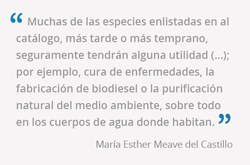 frases Esther Meave 4