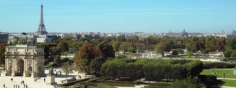 paris-head-22217.jpg