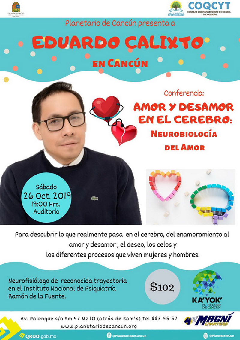 amordesamor calixto