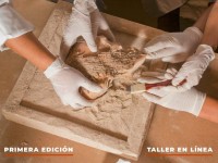 Gestión y conservación de restos humanos patrimoniales