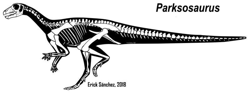 1-Parksosaurus-esqueleto.jpg