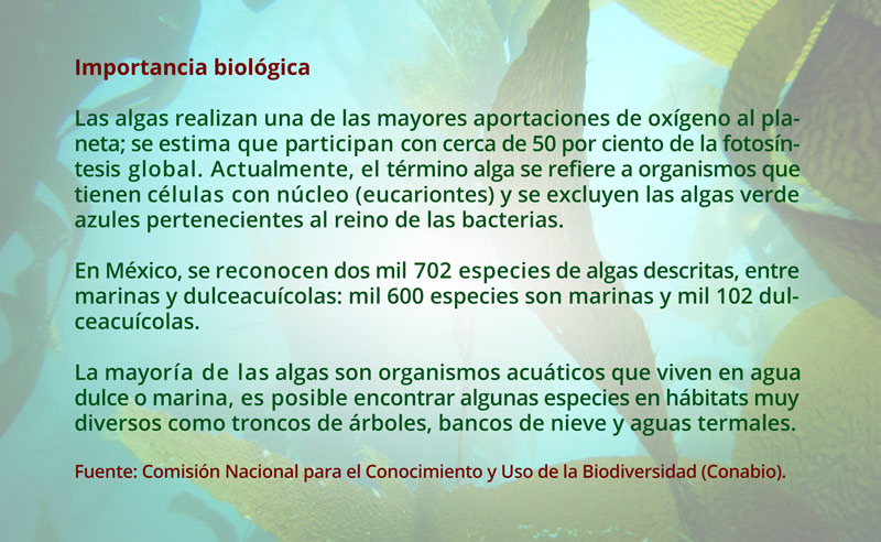 1-biologica2718.jpg