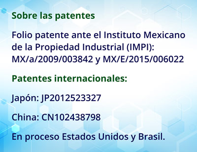 1-patentinte0318.jpg
