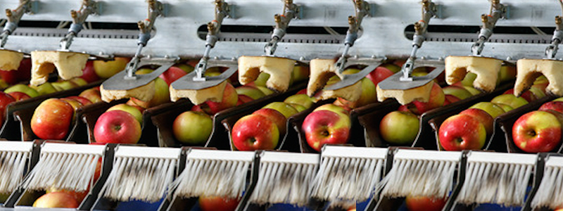 800x300-alimentos_manzanas_176.jpg