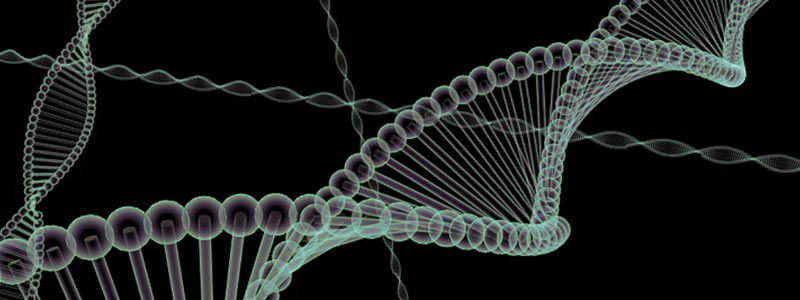 DNA genes 1609