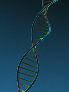 DNA_sad_177.png