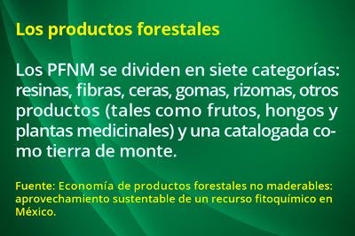 1 forestales1509