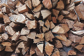 recursos naturales madera01