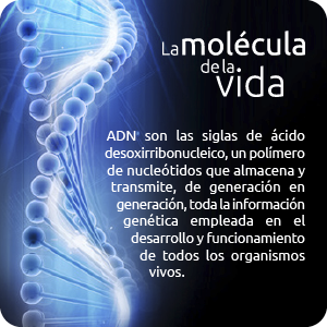 genoma-recuadros-02