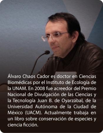 recuadro-alvaro-chaos