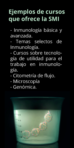 recuadro cursosSMI