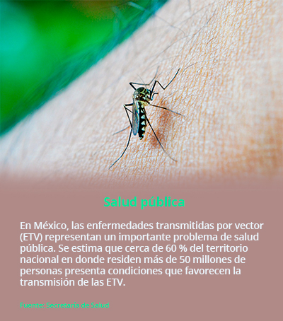 dengue1