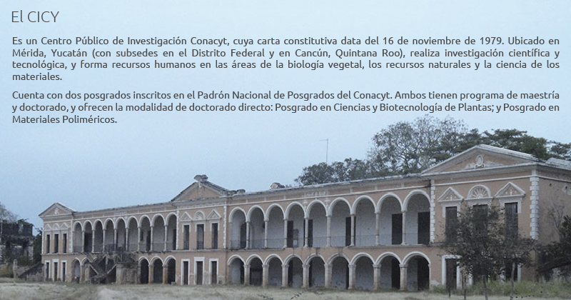merida recuadro 01