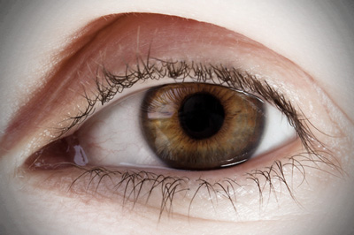 ojo retina