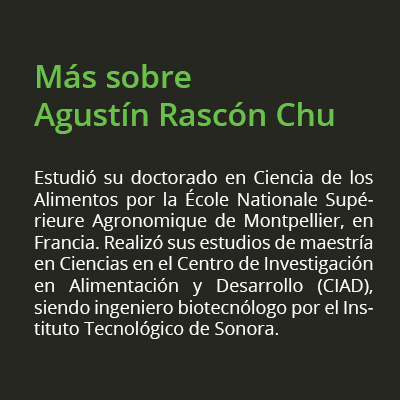 recuadro agustin rascon chu02