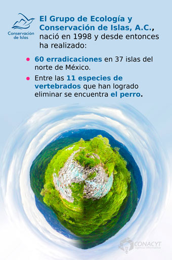 grupo-ecologia-conservacion-islas4.jpg