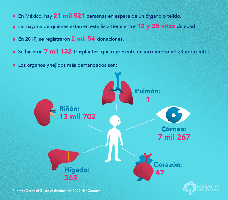 donacion organos mexico infografia03