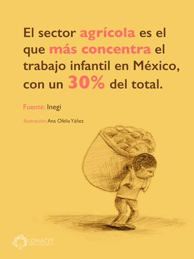 trabajo infantil sector agricola mexico02