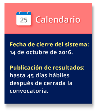 calendario proyecto2916