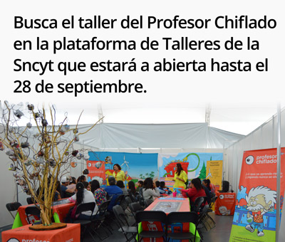 taller prof busca chif