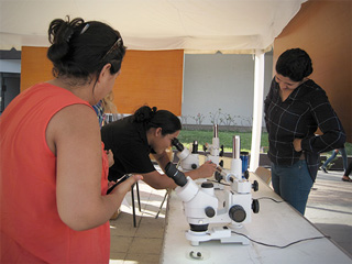 semana ciencia tecnologia colima