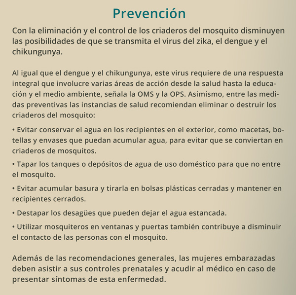 zika prevencion 16