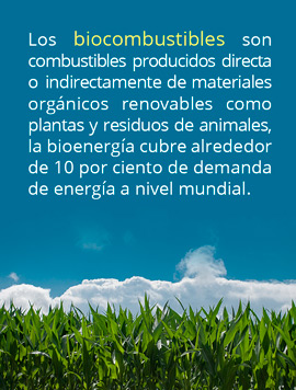 biocombustibles reportaje coahuila