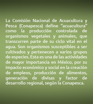 recuadro01-definicion-acuacultura-b