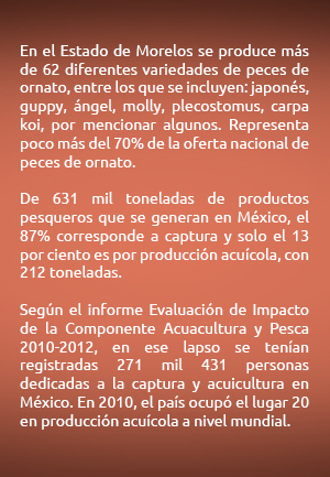recuadro02-datos-acuacultura-mexico-b
