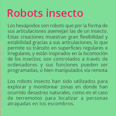 robots insecto02