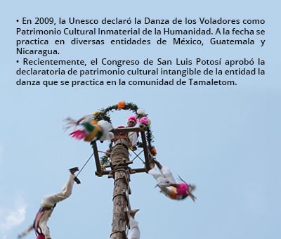 voladores-rec1-5317.jpg